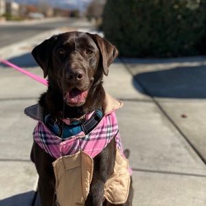 Meet your Posher, Hope